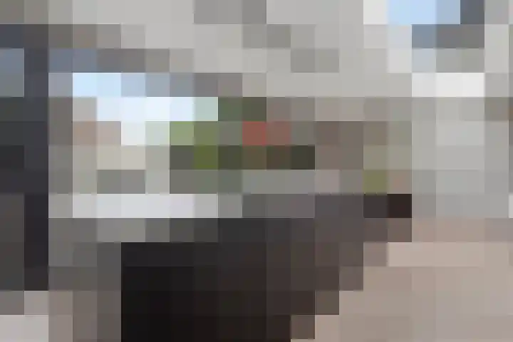 Notenluststraat 25 Vught thumbnail 9