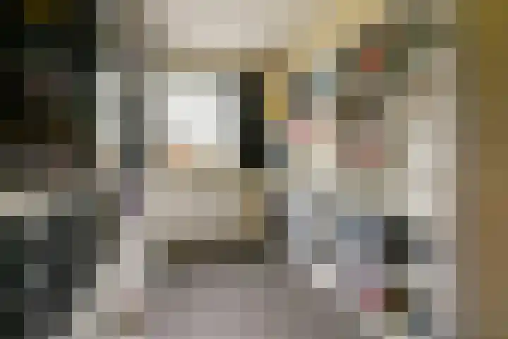 Notenoord 37 Rotterdam thumbnail 14