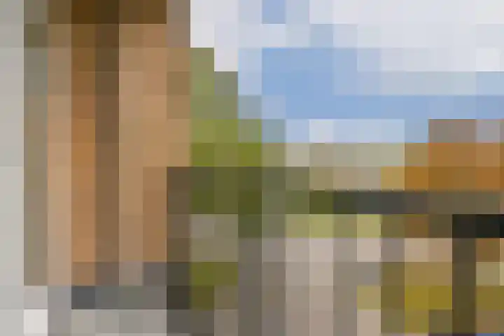 Notenoord 37 Rotterdam thumbnail 15