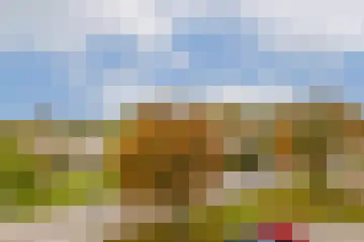 Notenoord 37 Rotterdam thumbnail 16