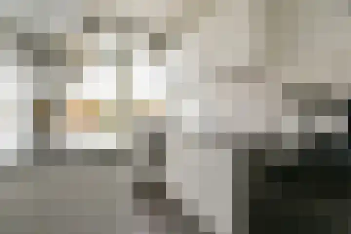Notenoord 37 Rotterdam thumbnail 9