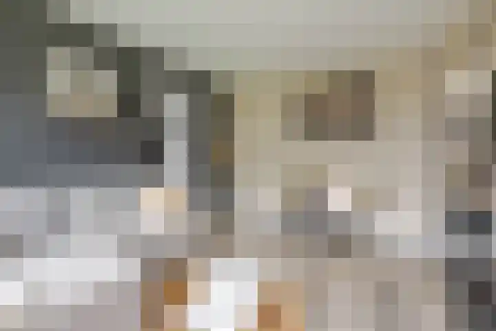 Notenoord 51 Rotterdam thumbnail 12