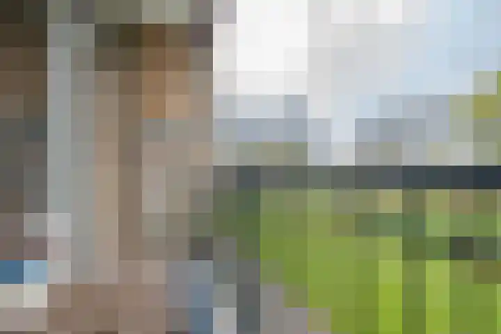 Notenoord 51 Rotterdam thumbnail 15