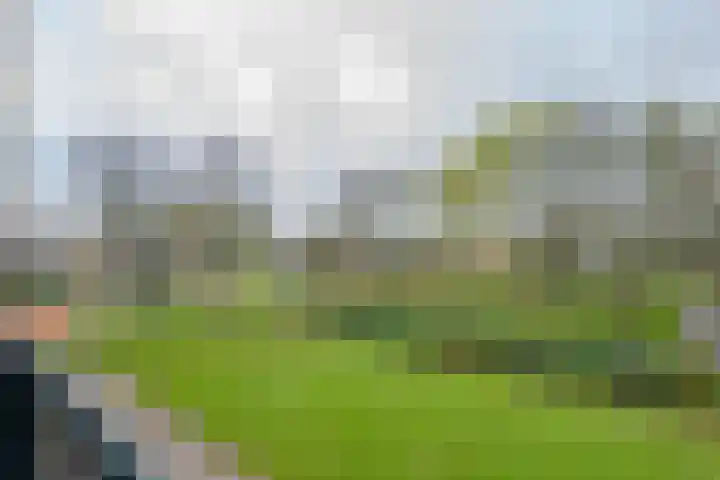 Notenoord 51 Rotterdam thumbnail 16