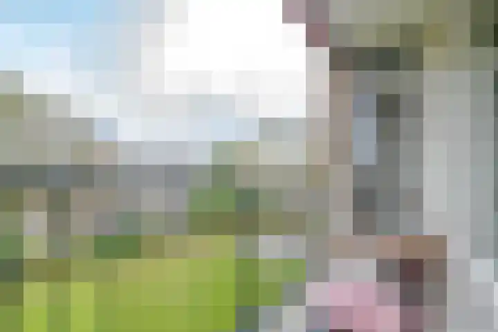 Notenoord 51 Rotterdam thumbnail 5