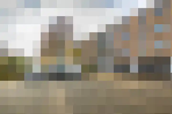 Notenoord 51 Rotterdam thumbnail 6