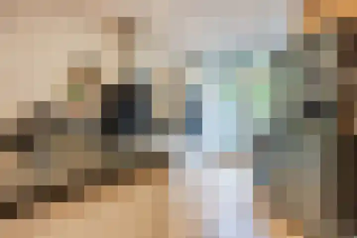 Notenplein 21 Den Haag thumbnail 18