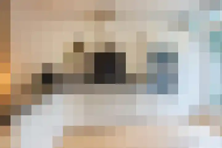 Notenplein 21 Den Haag thumbnail 19