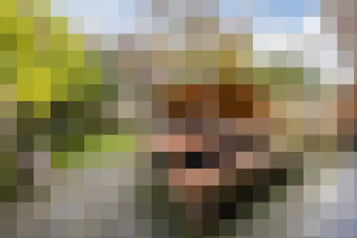 Notenplein 21 Den Haag thumbnail 22