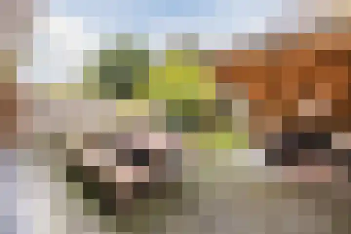 Notenplein 21 Den Haag thumbnail 23