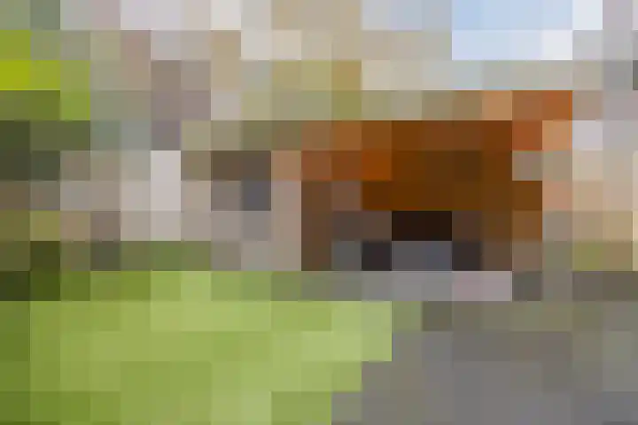 Notenplein 21 Den Haag thumbnail 26