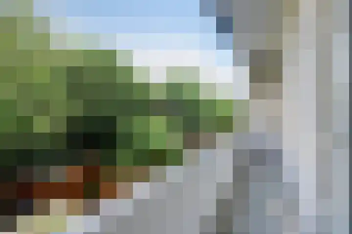 Notenplein 26 Den Haag thumbnail 18