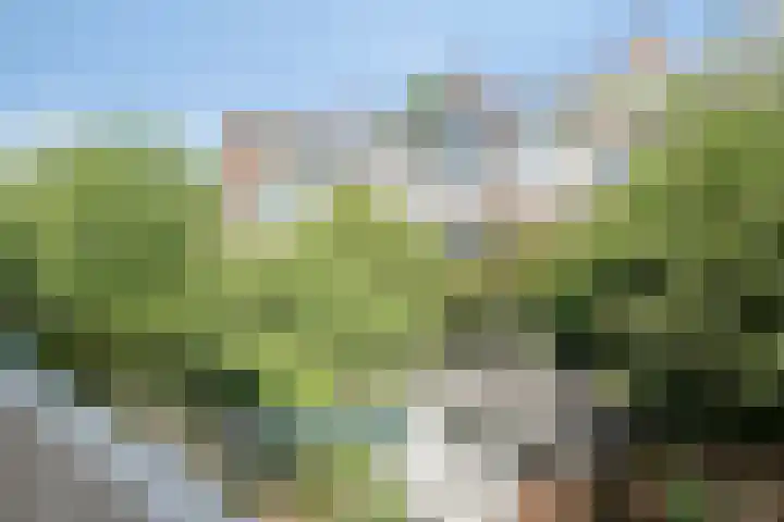 Notenplein 26 Den Haag thumbnail 19