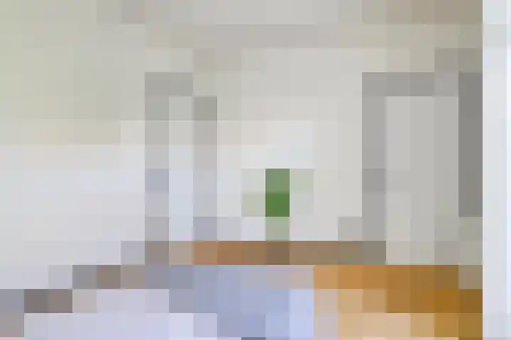 Notenplein 26 Den Haag thumbnail 9