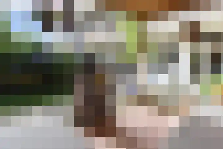 Notenplein 4 Den Haag thumbnail 23