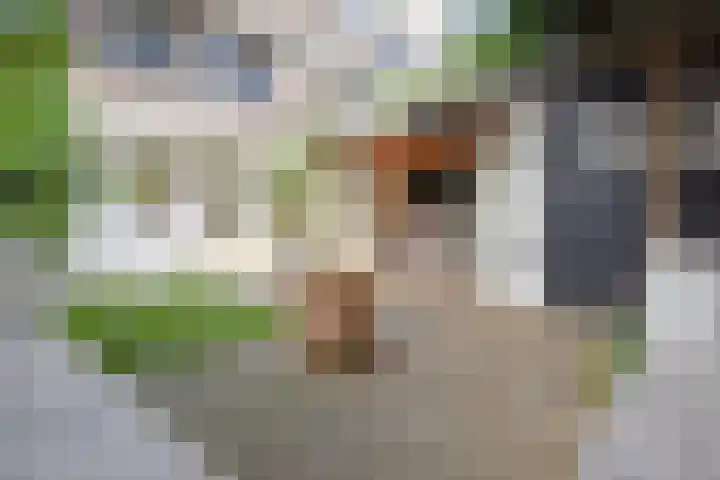 Notenplein 4 Den Haag thumbnail 25