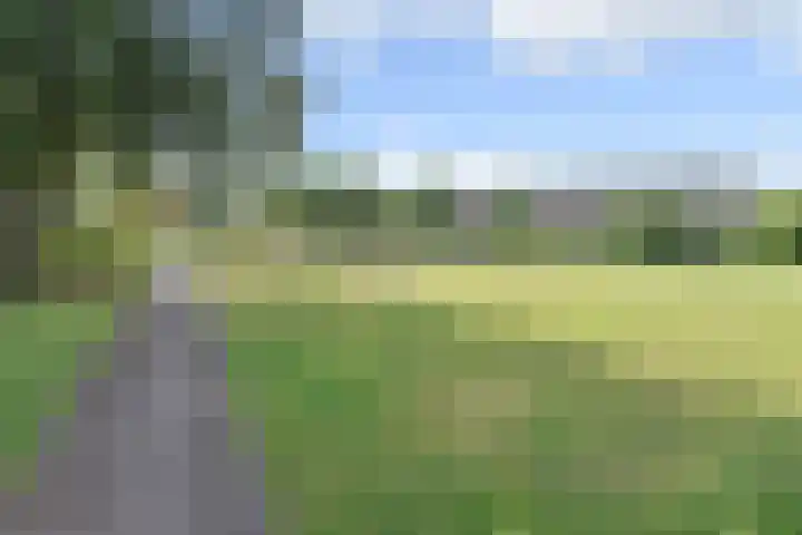 Notenplein 4 Den Haag thumbnail 50