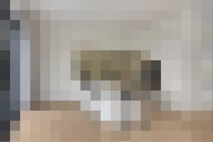 Notensteinstraat 1 Nijmegen thumbnail 19