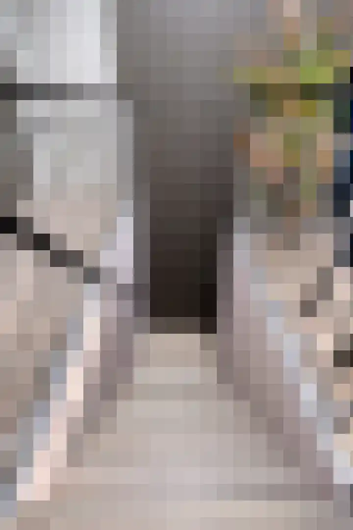 Notensteinstraat 1 Nijmegen thumbnail 24
