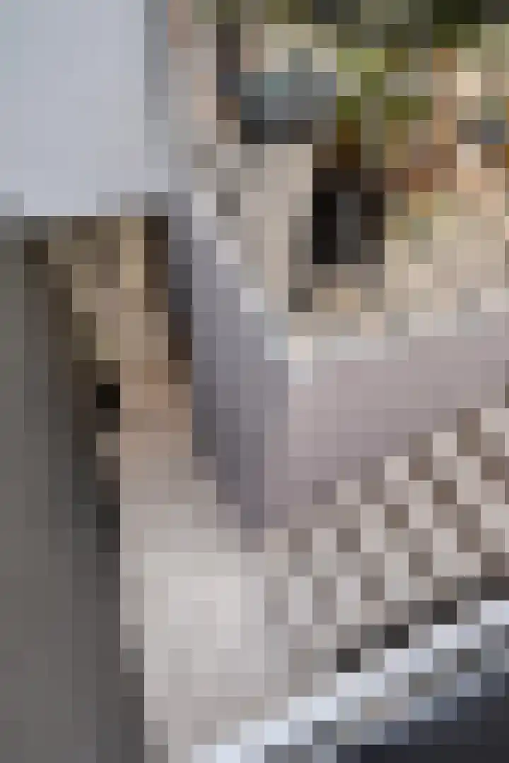 Notensteinstraat 1 Nijmegen thumbnail 25