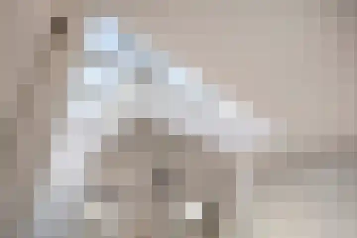 Notensteinstraat 1 Nijmegen thumbnail 26