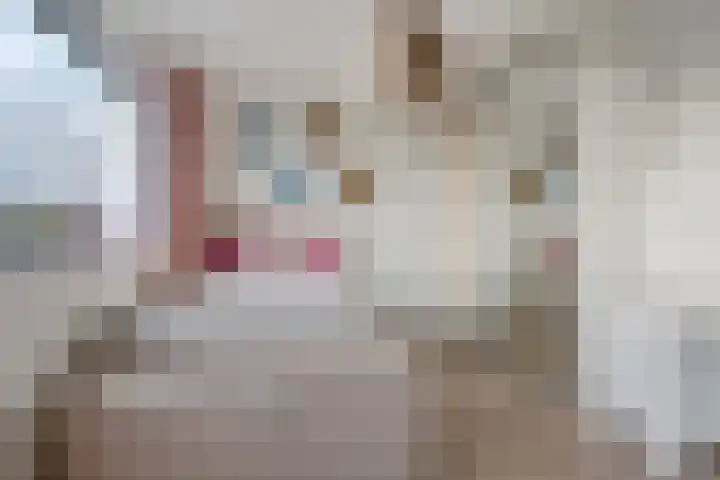 Notensteinstraat 1 Nijmegen thumbnail 35