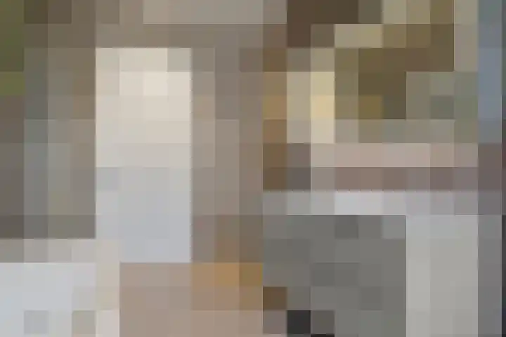 Notensteinstraat 1 Nijmegen thumbnail 37