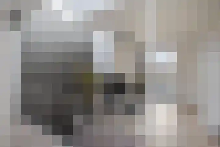 Notensteinstraat 1 Nijmegen thumbnail 40
