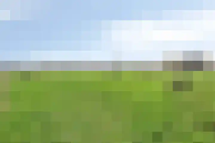 Notensteinstraat 1 Nijmegen thumbnail 48