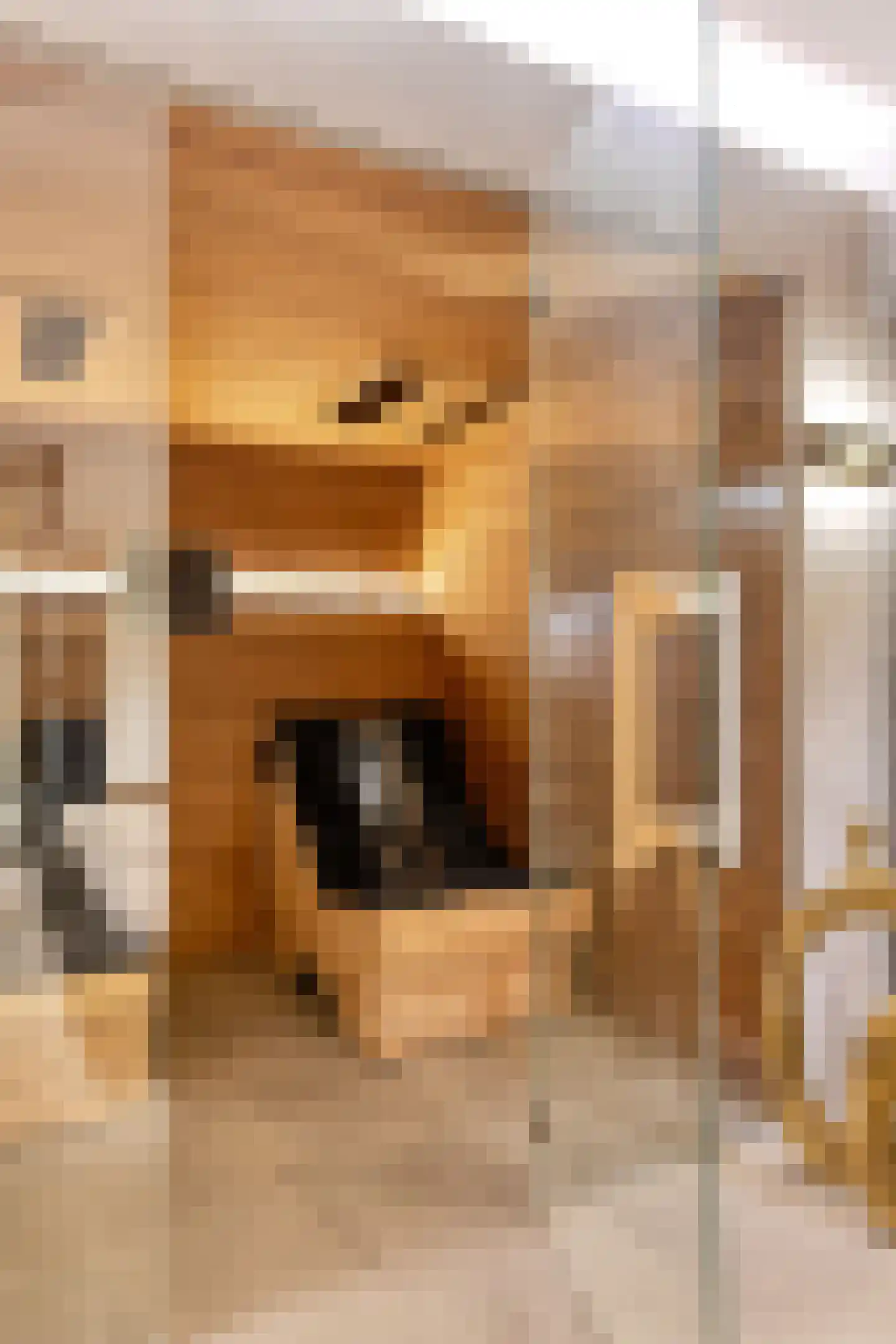 Notensteinstraat 15 Nijmegen thumbnail 31