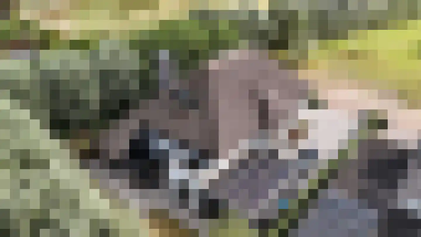 Notensteinstraat 15 Nijmegen thumbnail 4