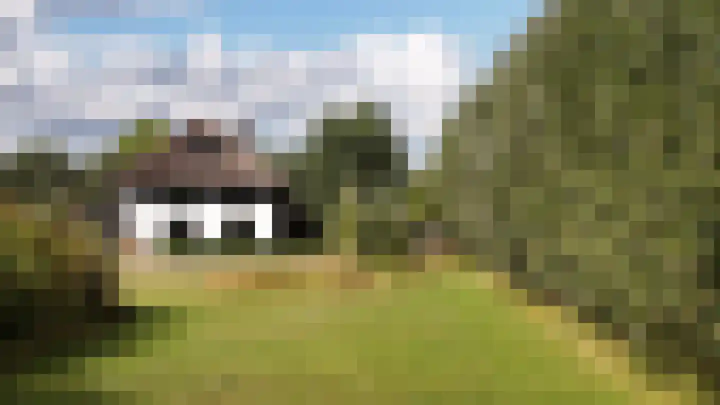 Notensteinstraat 15 Nijmegen thumbnail 60