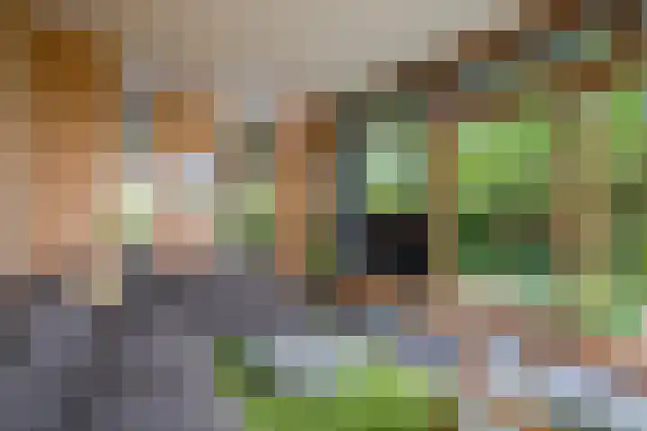 Notensteinstraat 7 Nijmegen thumbnail 16