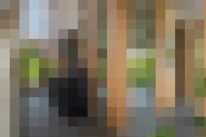Notensteinstraat 7 Nijmegen thumbnail 22