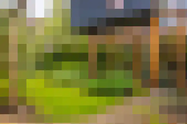Notensteinstraat 7 Nijmegen thumbnail 26