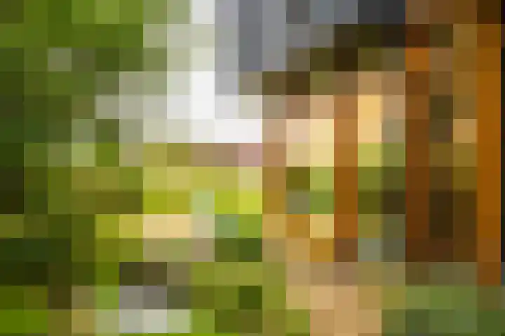 Notensteinstraat 7 Nijmegen thumbnail 27