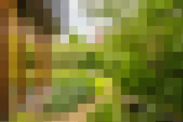 Notensteinstraat 7 Nijmegen thumbnail 28