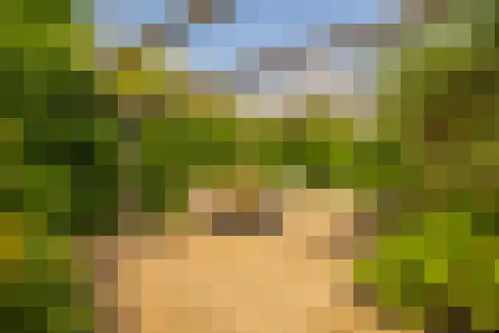 Notensteinstraat 7 Nijmegen thumbnail 29