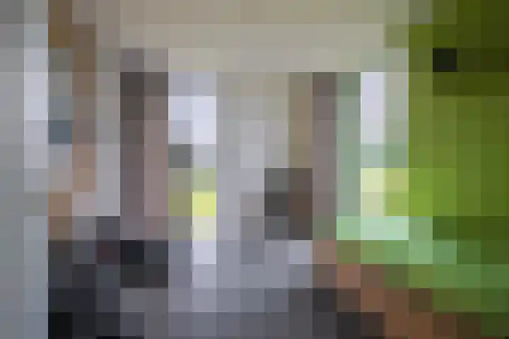 Notensteinstraat 7 Nijmegen thumbnail 41