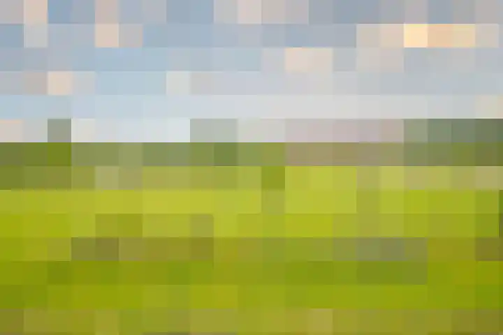 Notensteinstraat 7 Nijmegen thumbnail 7