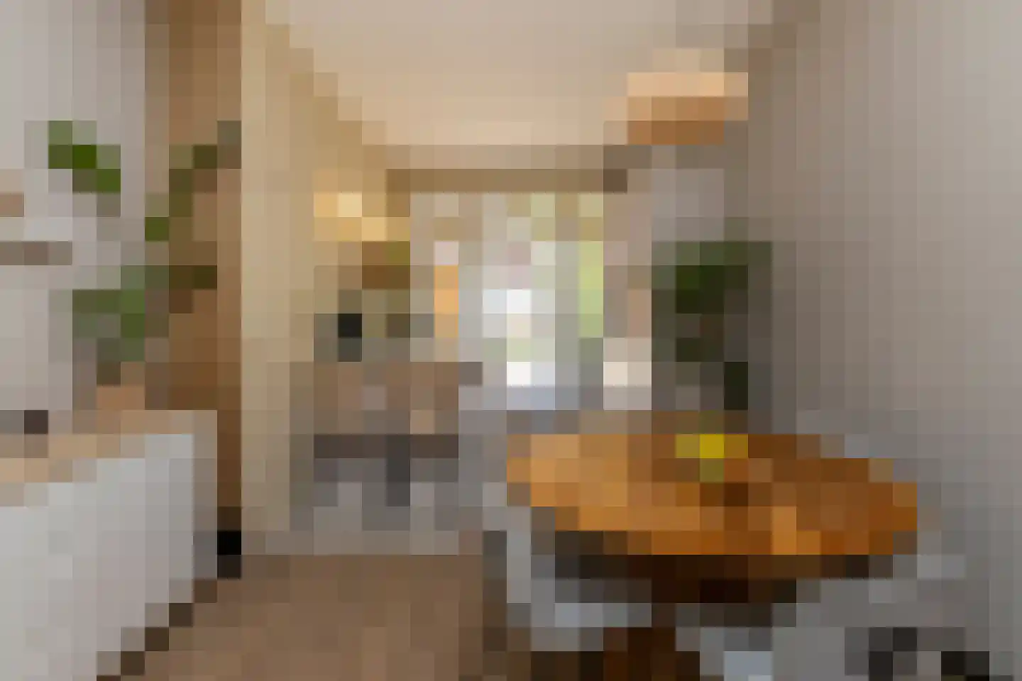 Notenstraat 12 Den Haag thumbnail 12