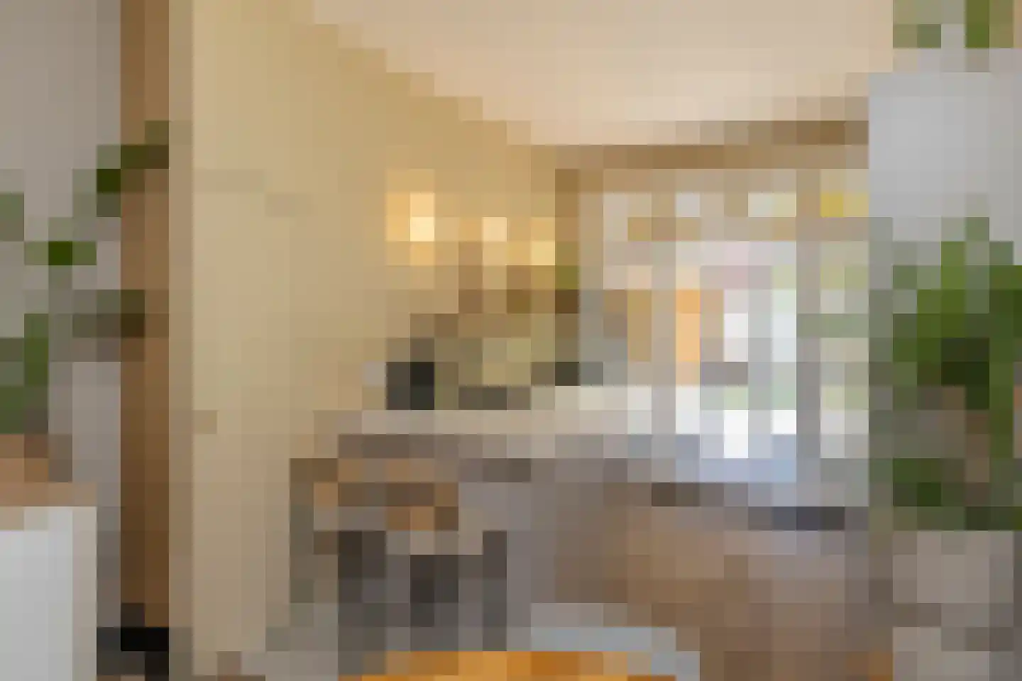 Notenstraat 12 Den Haag thumbnail 13