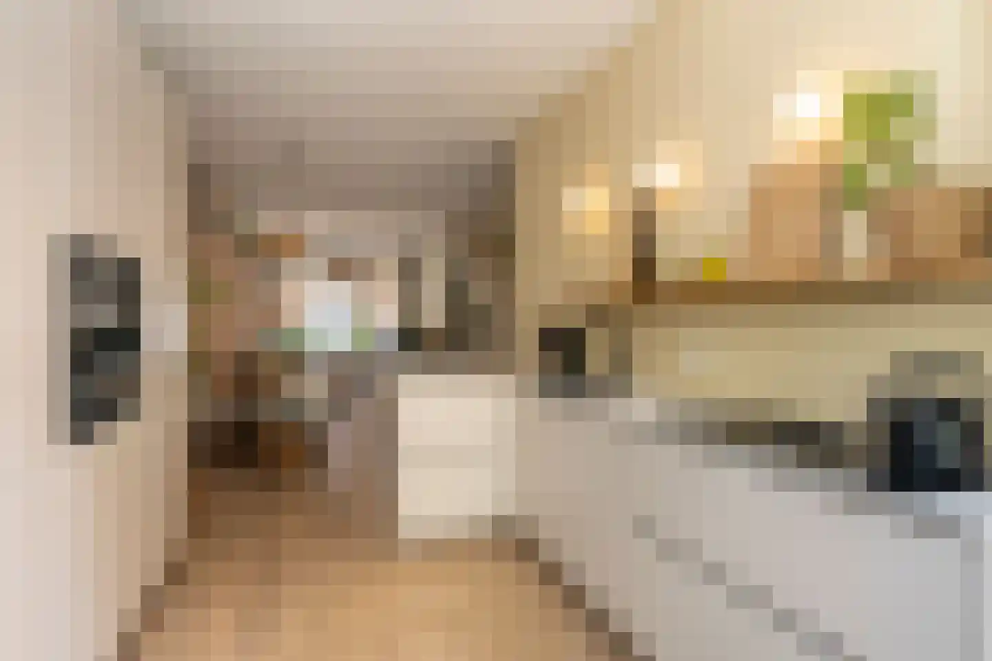Notenstraat 12 Den Haag thumbnail 16