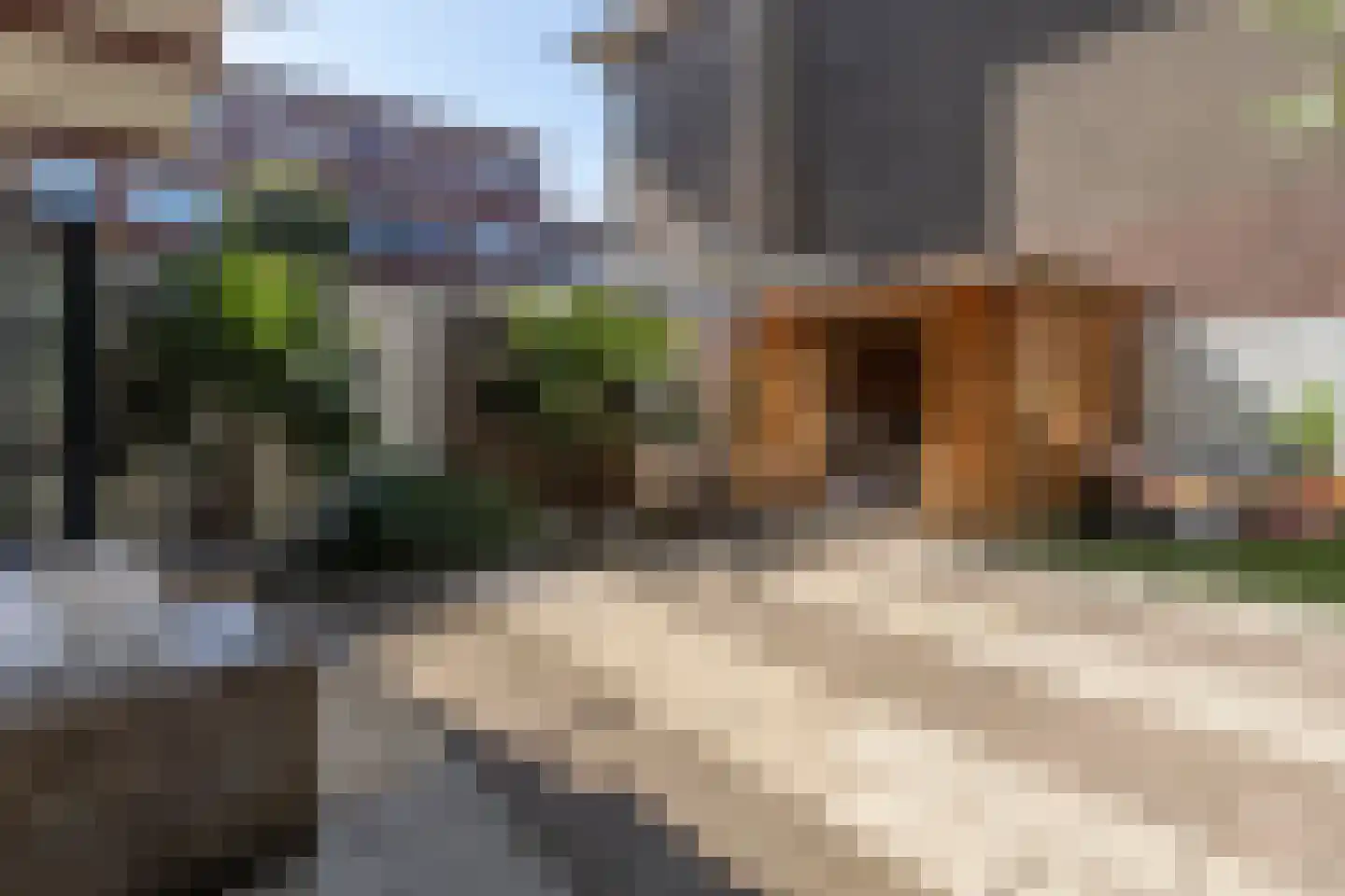 Notenstraat 12 Den Haag thumbnail 18