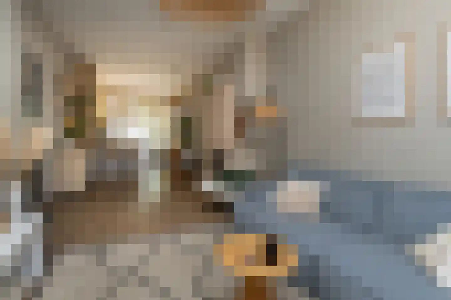 Notenstraat 12 Den Haag thumbnail 8