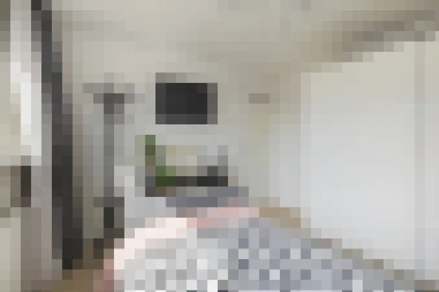 Notenstraat 12 Doesburg thumbnail 10