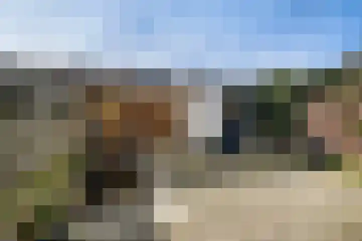 Notenstraat 12 Doesburg thumbnail 13