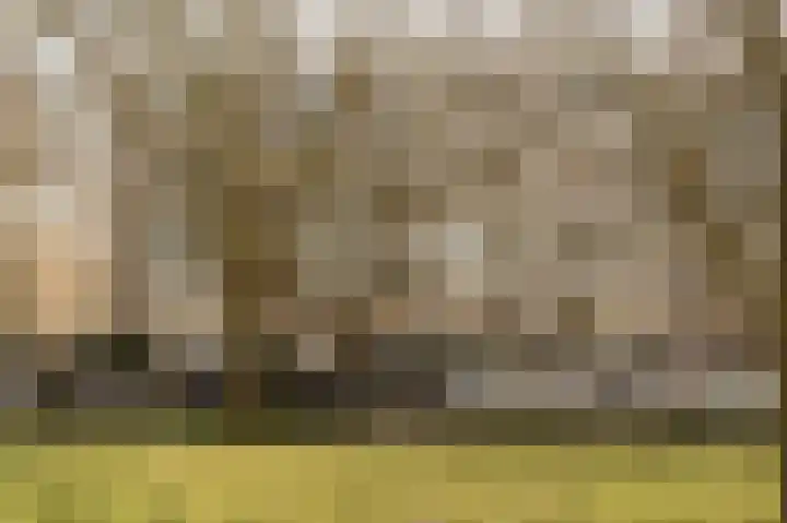 Notenstraat 12 Doesburg thumbnail 14