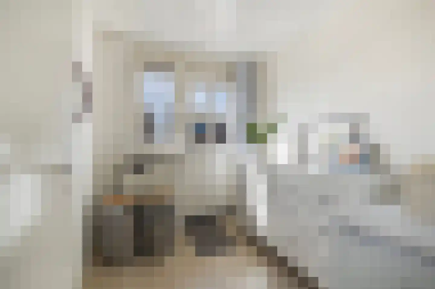 Notenstraat 12 Doesburg thumbnail 16