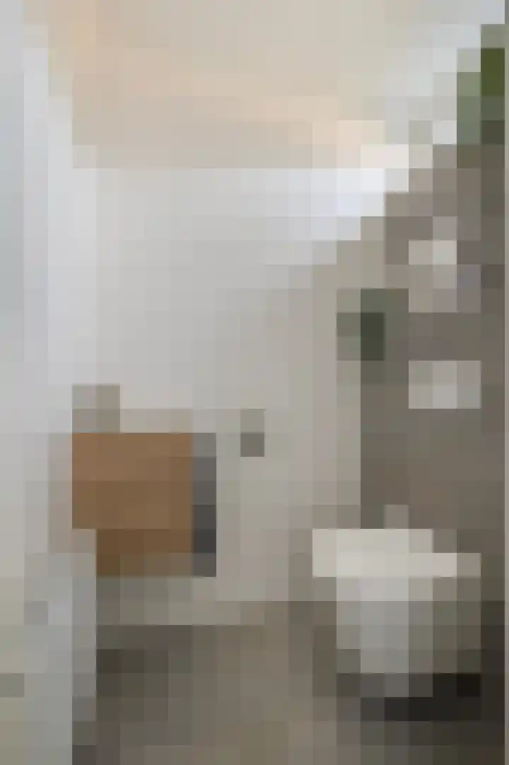 Notenstraat 12 Doesburg thumbnail 18